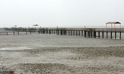 纪念系列诞生30周年 《超·铁拳祭》官方活动12月举行